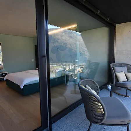 The Window *